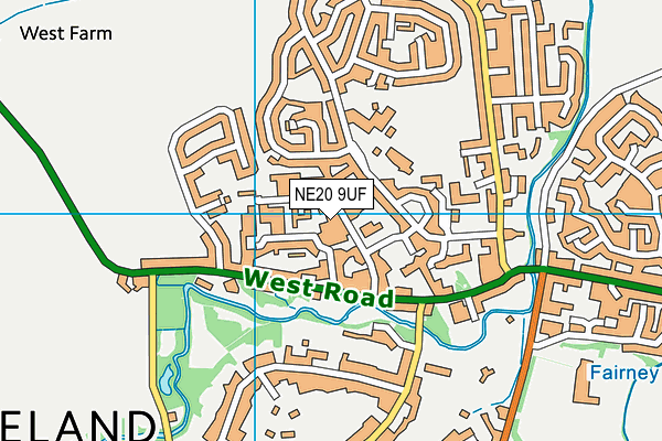 NE20 9UF map - OS VectorMap District (Ordnance Survey) NE20 9UF map - OS VectorMap District (Ordnance Survey)