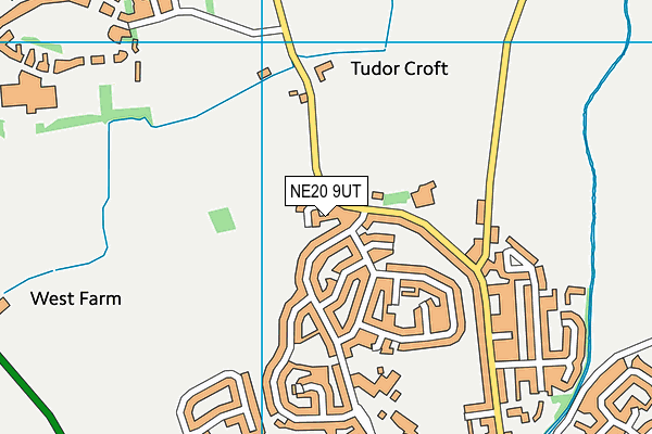 NE20 9UT map - OS VectorMap District (Ordnance Survey) NE20 9UT map - OS VectorMap District (Ordnance Survey)