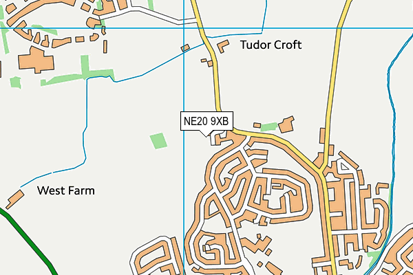 NE20 9XB map - OS VectorMap District (Ordnance Survey) NE20 9XB map - OS VectorMap District (Ordnance Survey)
