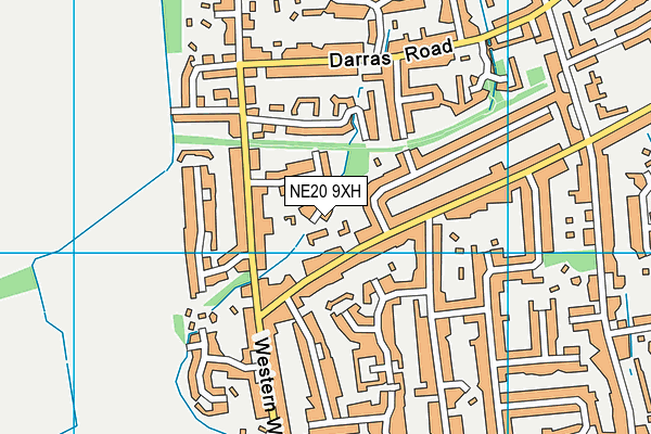 NE20 9XH map - OS VectorMap District (Ordnance Survey) NE20 9XH map - OS VectorMap District (Ordnance Survey)