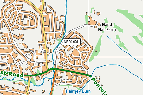 NE20 9XL map - OS VectorMap District (Ordnance Survey) NE20 9XL map - OS VectorMap District (Ordnance Survey)