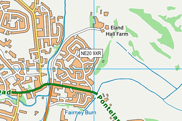 NE20 9XR map - OS VectorMap District (Ordnance Survey) NE20 9XR map - OS VectorMap District (Ordnance Survey)