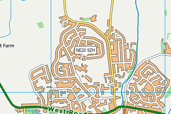 NE20 9ZH map - OS VectorMap District (Ordnance Survey) NE20 9ZH map - OS VectorMap District (Ordnance Survey)