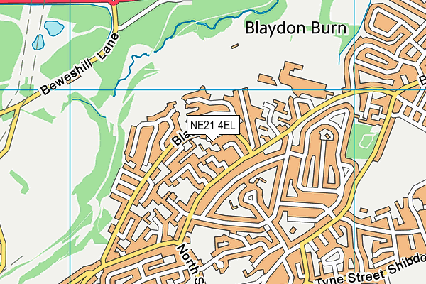 NE21 4EL map - OS VectorMap District (Ordnance Survey) NE21 4EL map - OS VectorMap District (Ordnance Survey)