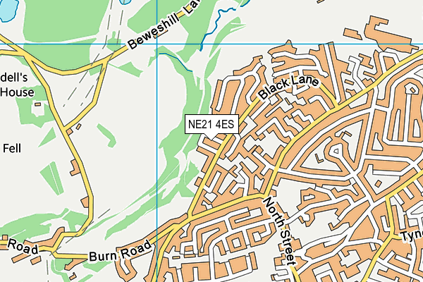 NE21 4ES map - OS VectorMap District (Ordnance Survey) NE21 4ES map - OS VectorMap District (Ordnance Survey)