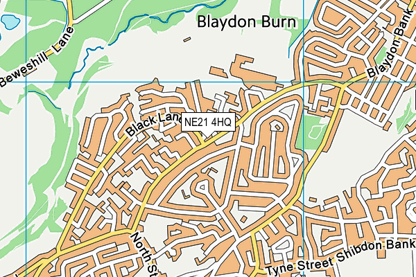 NE21 4HQ map - OS VectorMap District (Ordnance Survey)