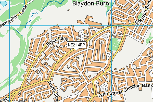 NE21 4RP map - OS VectorMap District (Ordnance Survey) NE21 4RP map - OS VectorMap District (Ordnance Survey)
