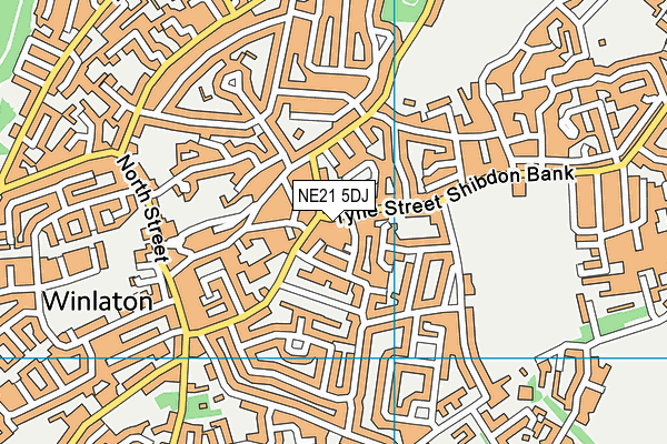 NE21 5DJ map - OS VectorMap District (Ordnance Survey) NE21 5DJ map - OS VectorMap District (Ordnance Survey)
