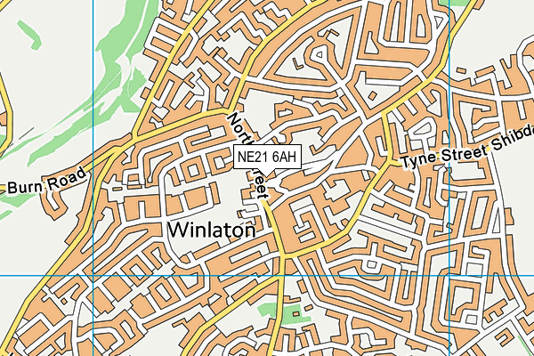 NE21 6AH map - OS VectorMap District (Ordnance Survey)