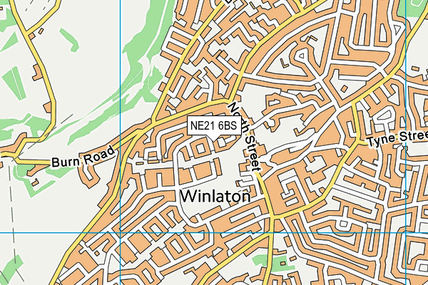 NE21 6BS map - OS VectorMap District (Ordnance Survey) NE21 6BS map - OS VectorMap District (Ordnance Survey)