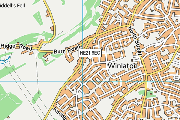 NE21 6EG map - OS VectorMap District (Ordnance Survey) NE21 6EG map - OS VectorMap District (Ordnance Survey)