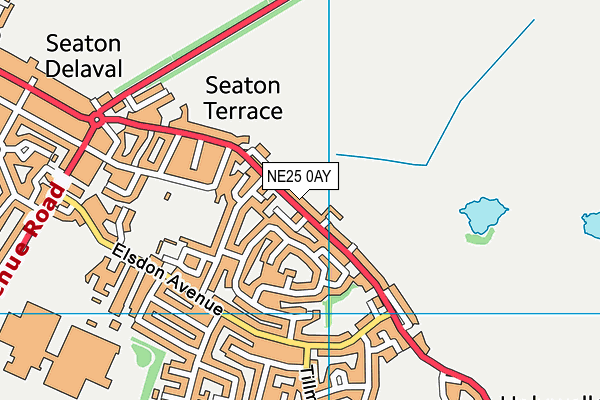 NE25 0AY map - OS VectorMap District (Ordnance Survey) NE25 0AY map - OS VectorMap District (Ordnance Survey)