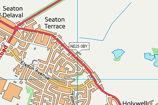 NE25 0BY map - OS VectorMap District (Ordnance Survey) NE25 0BY map - OS VectorMap District (Ordnance Survey)