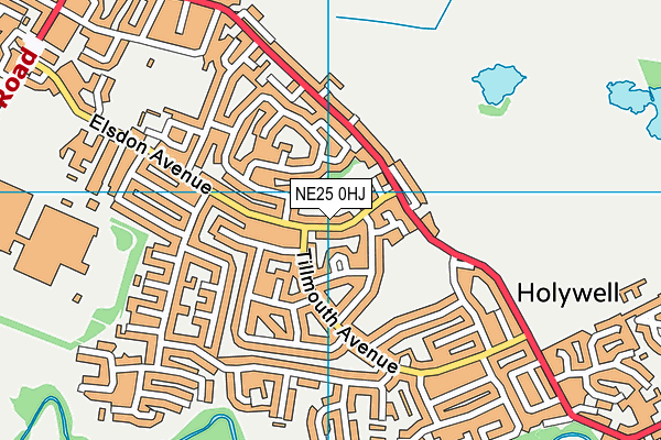 NE25 0HJ map - OS VectorMap District (Ordnance Survey) NE25 0HJ map - OS VectorMap District (Ordnance Survey)