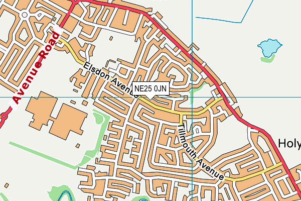 NE25 0JN map - OS VectorMap District (Ordnance Survey) NE25 0JN map - OS VectorMap District (Ordnance Survey)