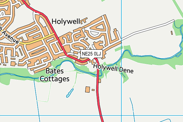 NE25 0LJ map - OS VectorMap District (Ordnance Survey) NE25 0LJ map - OS VectorMap District (Ordnance Survey)