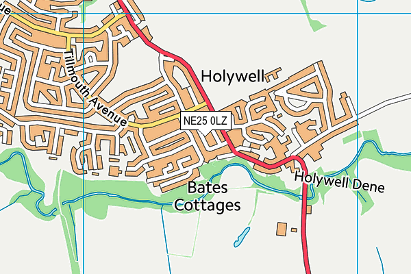 NE25 0LZ map - OS VectorMap District (Ordnance Survey) NE25 0LZ map - OS VectorMap District (Ordnance Survey)