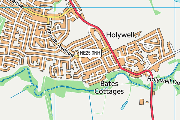 NE25 0NH map - OS VectorMap District (Ordnance Survey)