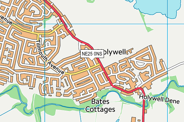 NE25 0NS map - OS VectorMap District (Ordnance Survey) NE25 0NS map - OS VectorMap District (Ordnance Survey)
