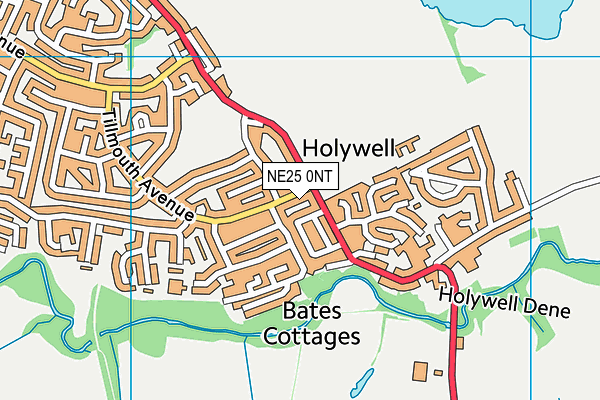 NE25 0NT map - OS VectorMap District (Ordnance Survey) NE25 0NT map - OS VectorMap District (Ordnance Survey)