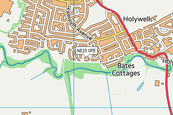 NE25 0PE map - OS VectorMap District (Ordnance Survey) NE25 0PE map - OS VectorMap District (Ordnance Survey)