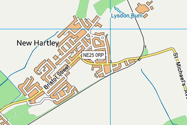 NE25 0RP map - OS VectorMap District (Ordnance Survey) NE25 0RP map - OS VectorMap District (Ordnance Survey)