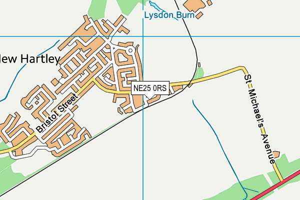 NE25 0RS map - OS VectorMap District (Ordnance Survey) NE25 0RS map - OS VectorMap District (Ordnance Survey)