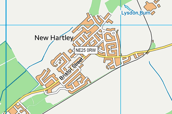 NE25 0RW map - OS VectorMap District (Ordnance Survey) NE25 0RW map - OS VectorMap District (Ordnance Survey)