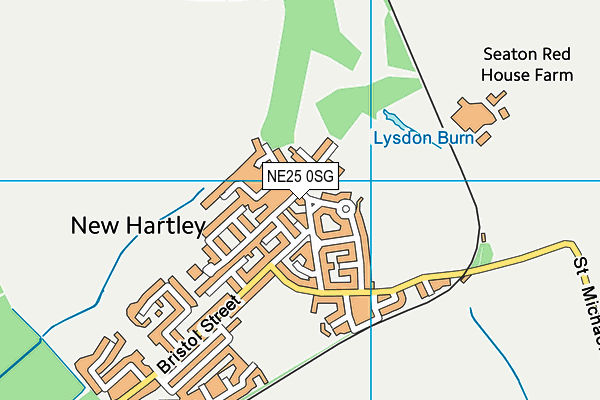 NE25 0SG map - OS VectorMap District (Ordnance Survey)