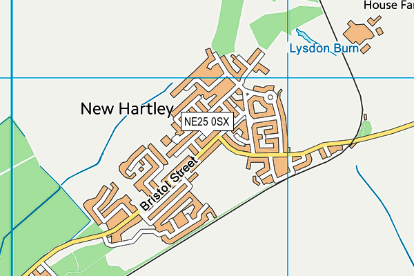 NE25 0SX map - OS VectorMap District (Ordnance Survey)