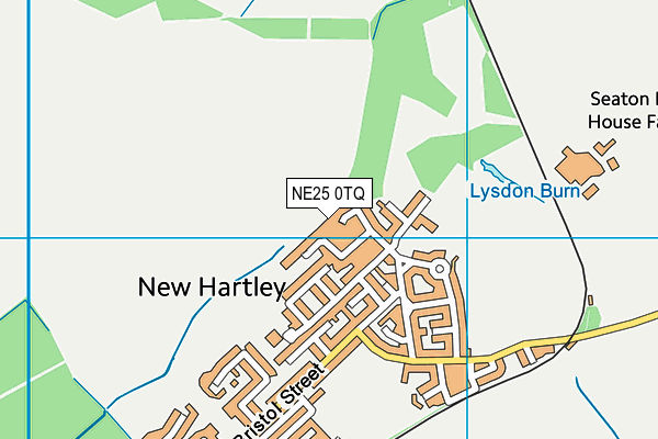 NE25 0TQ map - OS VectorMap District (Ordnance Survey) NE25 0TQ map - OS VectorMap District (Ordnance Survey)