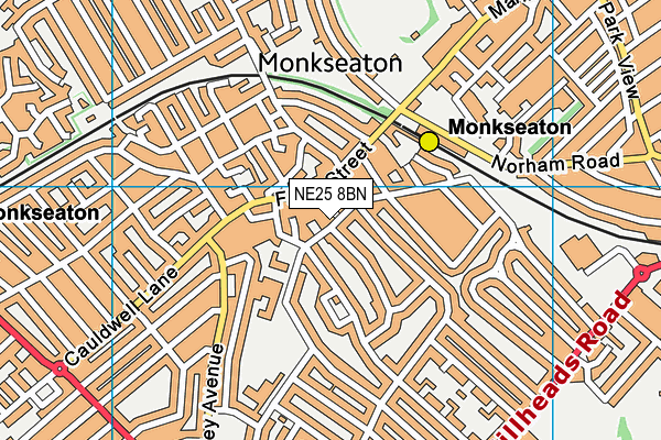 NE25 8BN map - OS VectorMap District (Ordnance Survey) NE25 8BN map - OS VectorMap District (Ordnance Survey)