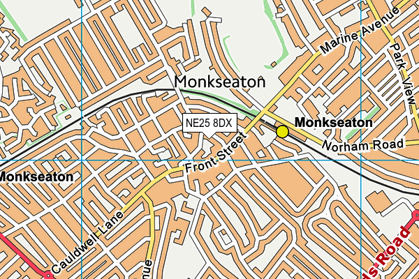 NE25 8DX map - OS VectorMap District (Ordnance Survey) NE25 8DX map - OS VectorMap District (Ordnance Survey)