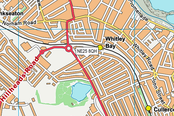 NE25 8QH map - OS VectorMap District (Ordnance Survey) NE25 8QH map - OS VectorMap District (Ordnance Survey)