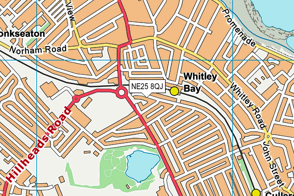 NE25 8QJ map - OS VectorMap District (Ordnance Survey)