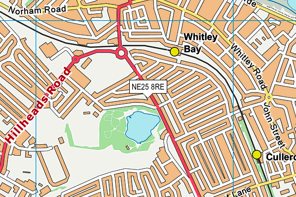 NE25 8RE map - OS VectorMap District (Ordnance Survey) NE25 8RE map - OS VectorMap District (Ordnance Survey)