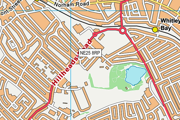 NE25 8RP map - OS VectorMap District (Ordnance Survey)