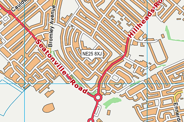 NE25 8XJ map - OS VectorMap District (Ordnance Survey) NE25 8XJ map - OS VectorMap District (Ordnance Survey)