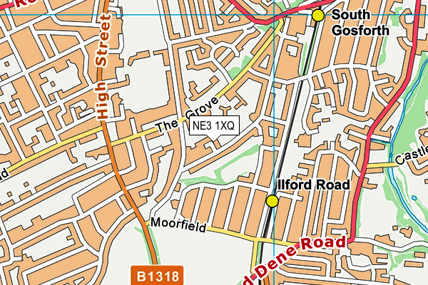 NE3 1XQ map - OS VectorMap District (Ordnance Survey)