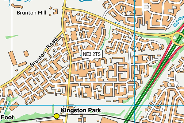 NE3 2TS map - OS VectorMap District (Ordnance Survey)