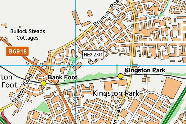 NE3 2XG map - OS VectorMap District (Ordnance Survey)