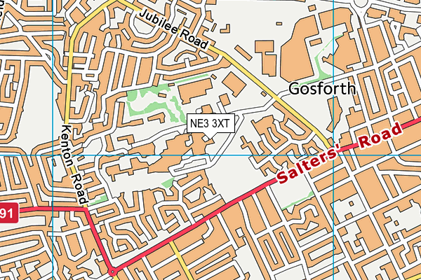 NE3 3XT map - OS VectorMap District (Ordnance Survey) NE3 3XT map - OS VectorMap District (Ordnance Survey)