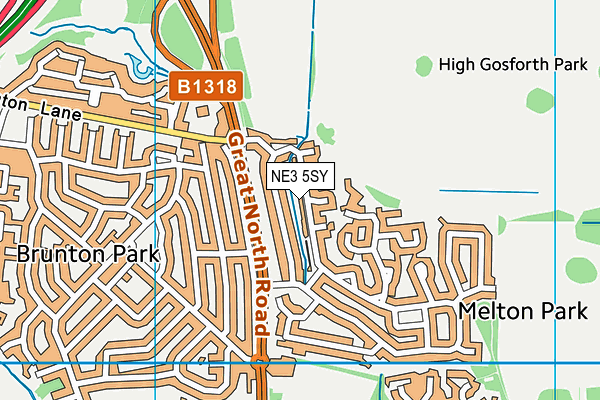 NE3 5SY map - OS VectorMap District (Ordnance Survey) NE3 5SY map - OS VectorMap District (Ordnance Survey)