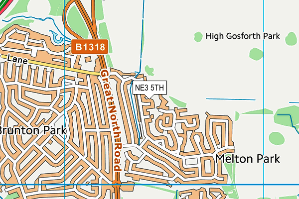 NE3 5TH map - OS VectorMap District (Ordnance Survey) NE3 5TH map - OS VectorMap District (Ordnance Survey)