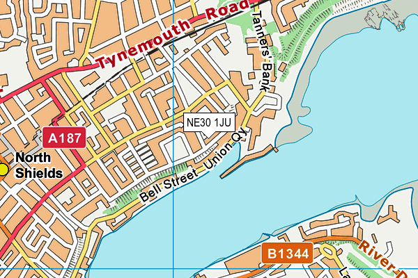NE30 1JU map - OS VectorMap District (Ordnance Survey) NE30 1JU map - OS VectorMap District (Ordnance Survey)