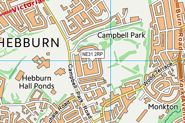 NE31 2RP map - OS VectorMap District (Ordnance Survey) NE31 2RP map - OS VectorMap District (Ordnance Survey)