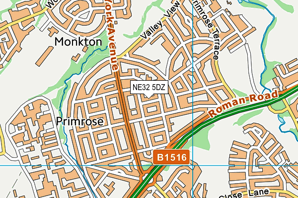 NE32 5DZ map - OS VectorMap District (Ordnance Survey)