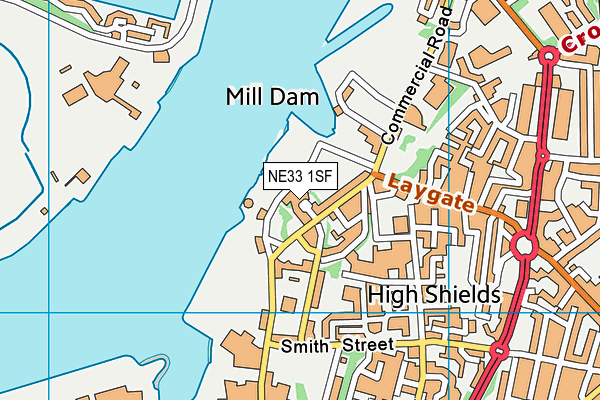 NE33 1SF map - OS VectorMap District (Ordnance Survey) NE33 1SF map - OS VectorMap District (Ordnance Survey)