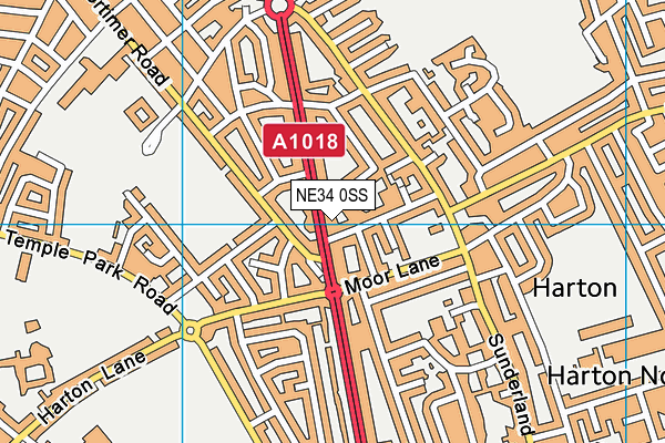NE34 0SS map - OS VectorMap District (Ordnance Survey) NE34 0SS map - OS VectorMap District (Ordnance Survey)