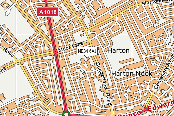 NE34 6AJ map - OS VectorMap District (Ordnance Survey) NE34 6AJ map - OS VectorMap District (Ordnance Survey)